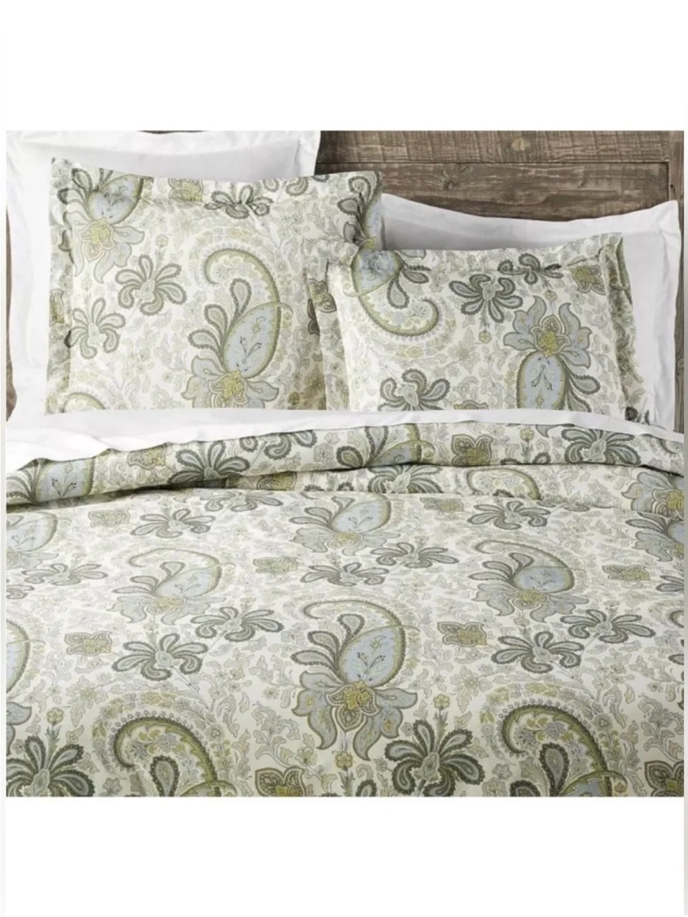 Pottery Barn Charlie Paisley Duvet Cover w Shams Cream, Sage Green, & Light Blue